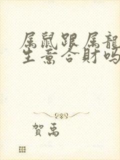 属鼠跟属龙的做生意合财吗