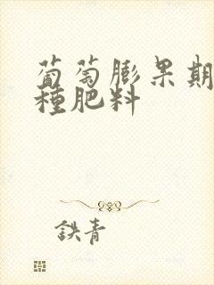 葡萄膨果期施哪种肥料