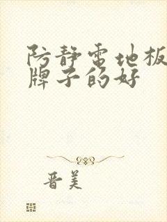 防静电地板哪个牌子的好