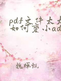pdf文件太大如何变小adobe
