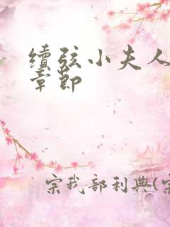 续弦小夫人全部章节