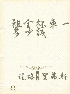 租金杯车一个月多少钱