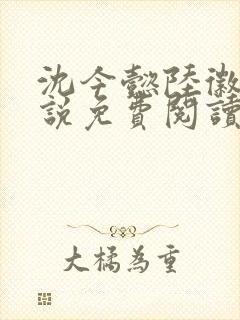 沈今懿陆徽时小说免费阅读