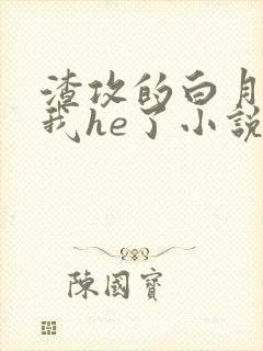 渣攻的白月光和我he了小说