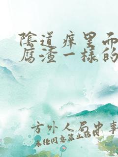 阴道痒里面有豆腐渣一样的东西