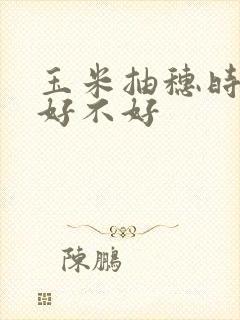 玉米抽穗时浇水好不好