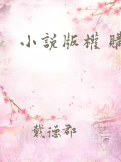 小说版权 购买