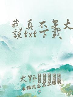 我真不是大佬小说txt下载