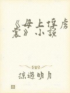 《母上俘虏柳如裳》小说