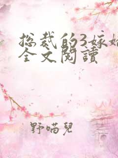 总裁的3嫁娇妻全文阅读