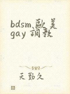 bdsm 欧美gay 调教