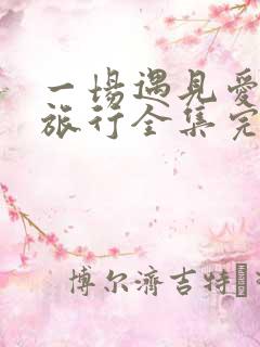 一场遇见爱情的旅行全集完整版