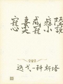 宠妻成瘾陆少的心尖宠小说免费阅读