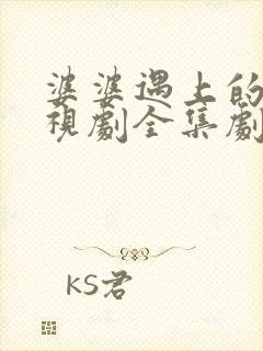 婆婆遇上的妈电视剧全集剧情介绍