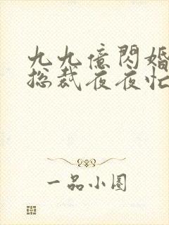 九九亿闪婚豪门总裁夜夜忙