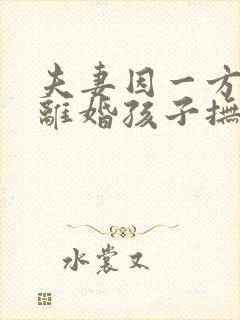 夫妻因一方出轨离婚孩子抚养权怎么判定