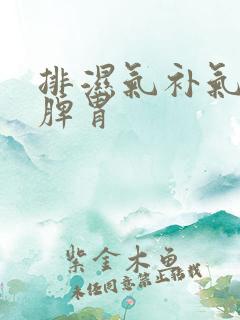 排湿气补气血调脾胃