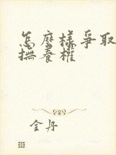 怎么样争取小孩抚养权