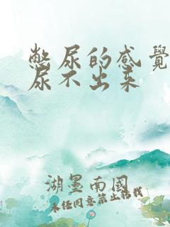 憋尿的感觉但是尿不出来
