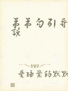 弟弟勾引哥哥小说