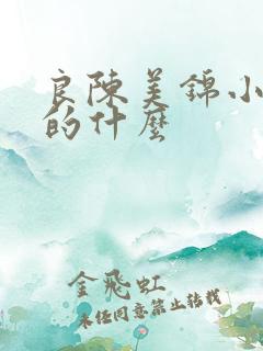 良陈美锦小说讲的什么