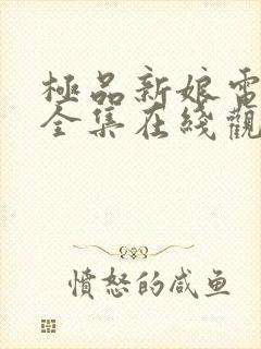 极品新娘电视剧全集在线观看免费