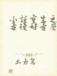 小说重生之将门毒后好看么