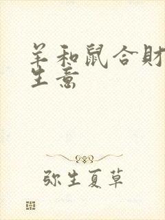 羊和鼠合财吗做生意