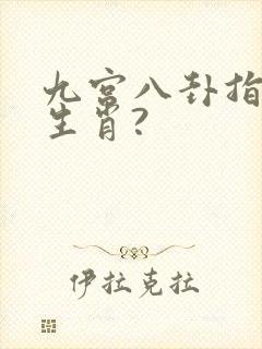 九宫八卦指什么生肖?