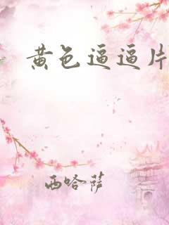 黄色逼逼片