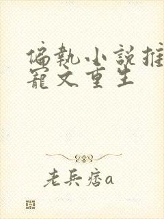 偏执小说推荐甜宠文重生