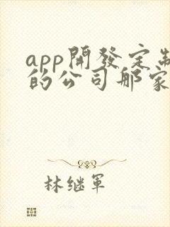 app开发定制的公司那家好