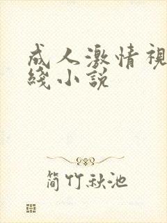 成人激情视频在线小说