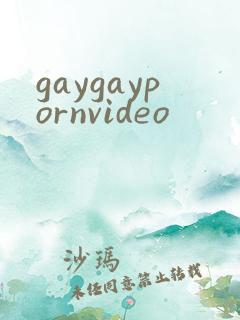 gaygaypornvideo