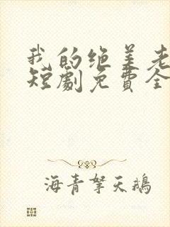我的绝美老板娘短剧免费全集