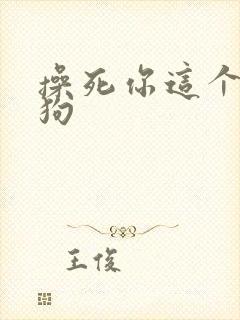 操死你这个骚母狗