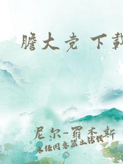 胆大党 下载