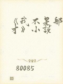 《我不是那种人才》小说