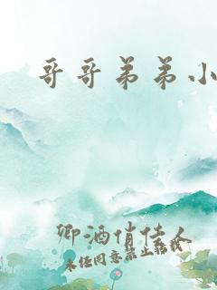 哥哥弟弟小说