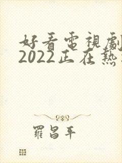 好看电视剧推荐2022正在热播的剧