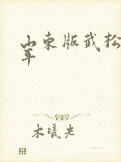 山东版武松祝延平