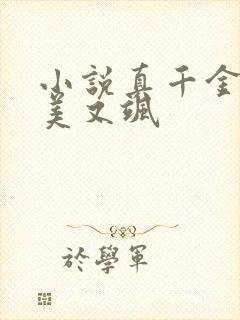 小说真千金她又美又飒