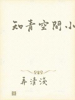 知青空间小说