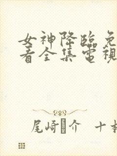 女神降临免费观看全集电视剧韩剧网国语