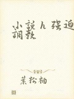 小说 h 强迫调教