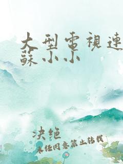 大型电视连续剧苏小小