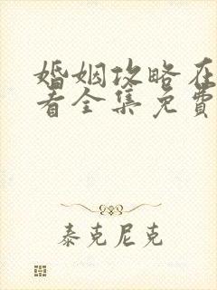 婚姻攻略在线观看全集免费高清