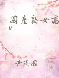 国产熟女高清av