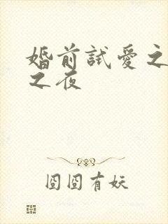 婚前试爱之新婚之夜