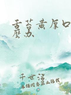 舌苔黄厚口臭怎么办